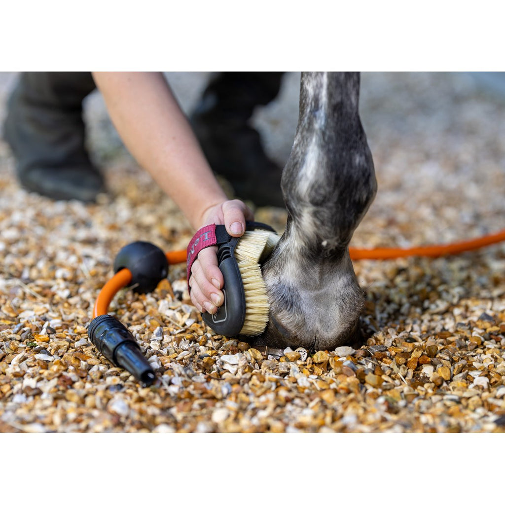 Pflegeprodukte für dein Pferd – Helle Kleven Shop